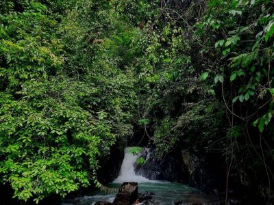 IMG-20250217-WA0002 IMG-20250217-WA0002