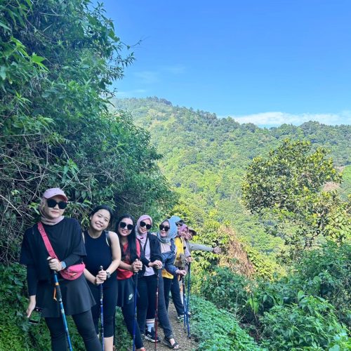 e8fe844e-6834-4fb6-acfe-99c544ff77db