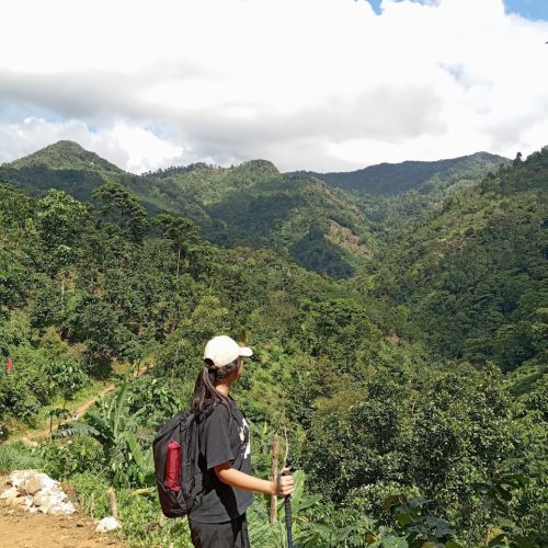 fae596c0-add2-428f-b1d2-54ba9d5edc0d